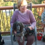 cambriaDR_0022 (November 01, 2019)